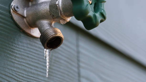 Best Plumbing Services Near Me  in Arcadia, LA
